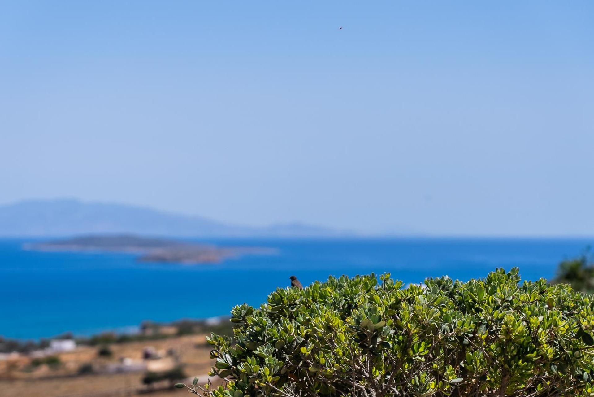 Lagadia Village Antiparos Eksteriør billede